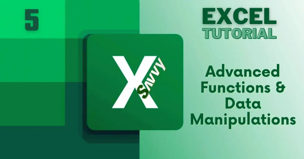 Excel Savvy- Excel Advanced Functions and Excel Data Manipulations